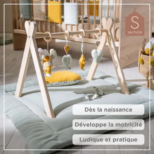 81hcibdHgCL._AC_SL1500_